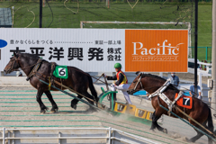 ばんえい競馬