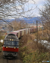 DF200-60