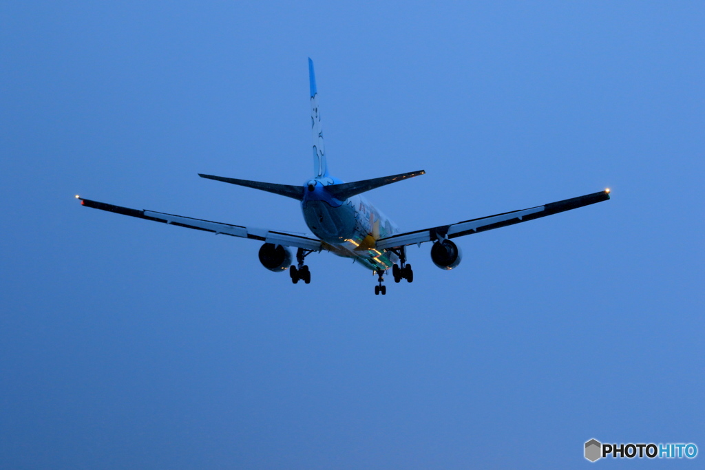 767 BearDo
