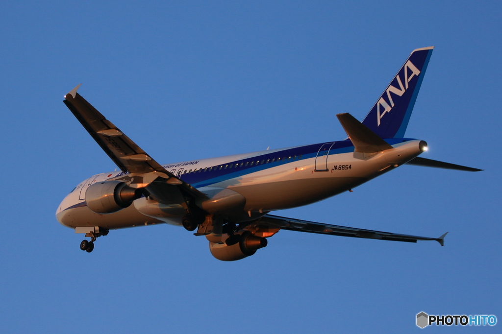 Airbus A320-211