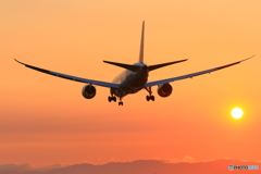 787と夕日