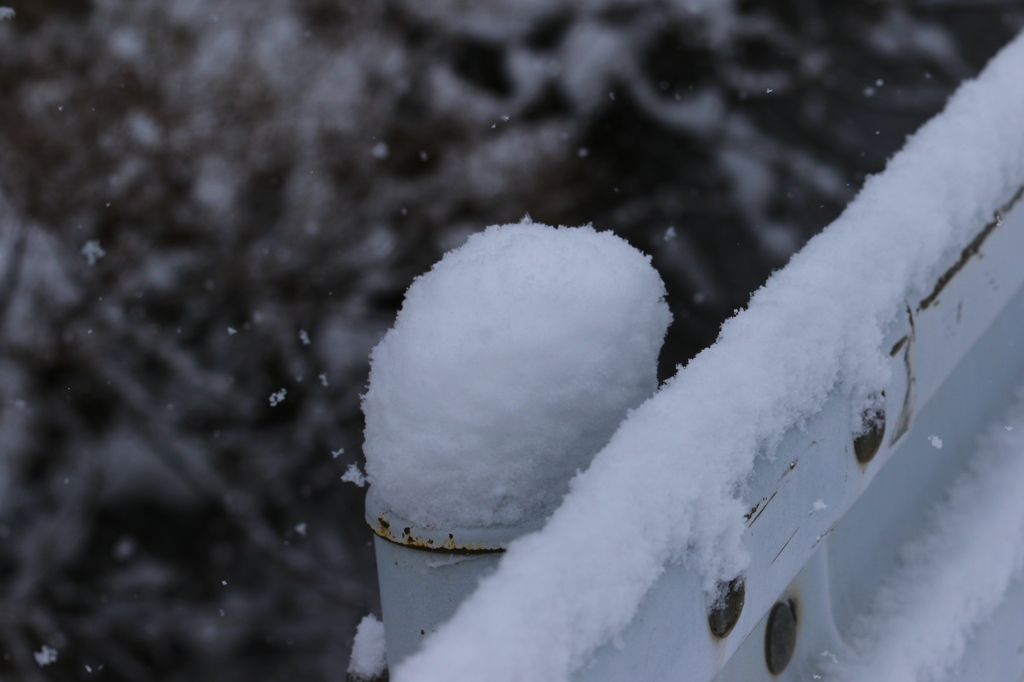 雪帽子