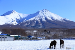 駒駒駒ヶ岳