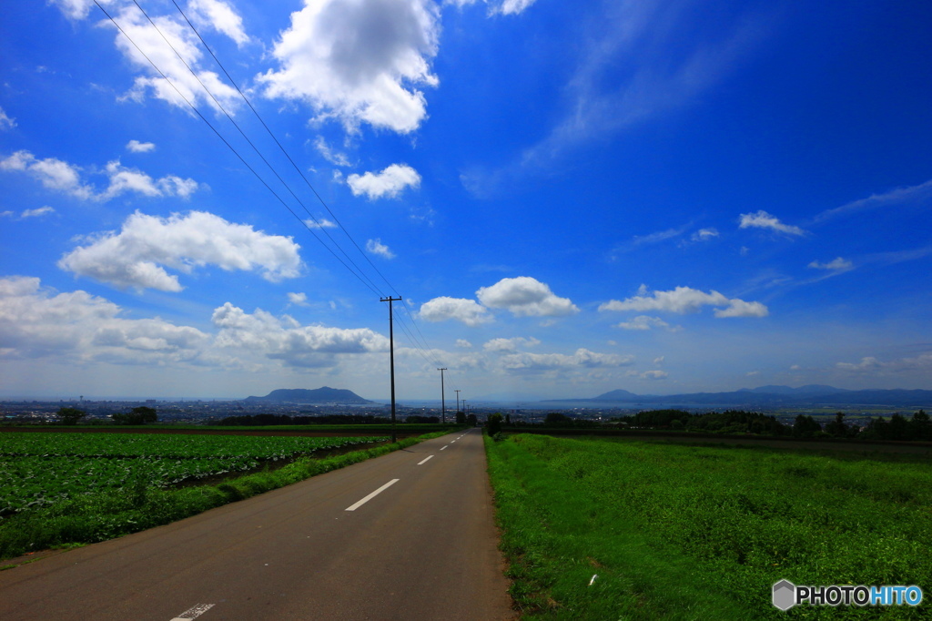 函館山を望む