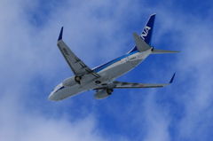 B737