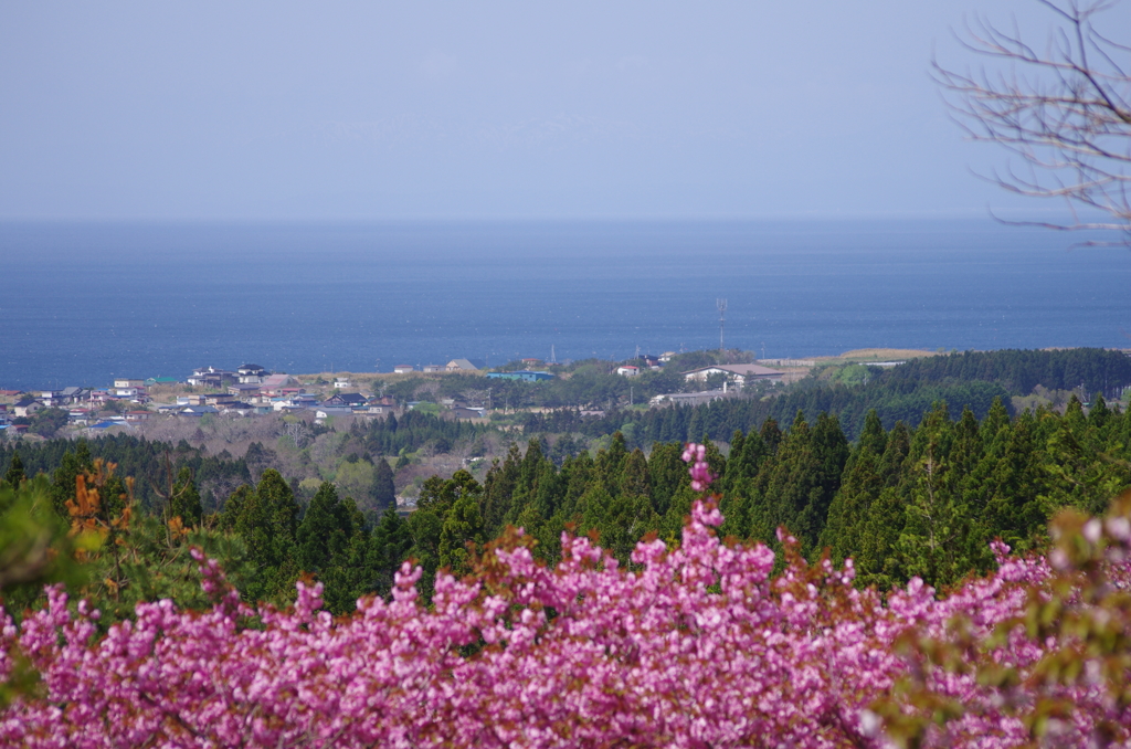海を臨む