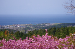 海を臨む