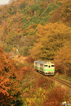 紅葉の中 キハ