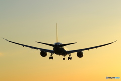 ７８７
