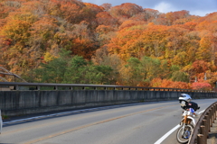 バイクで紅葉狩り