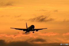 767