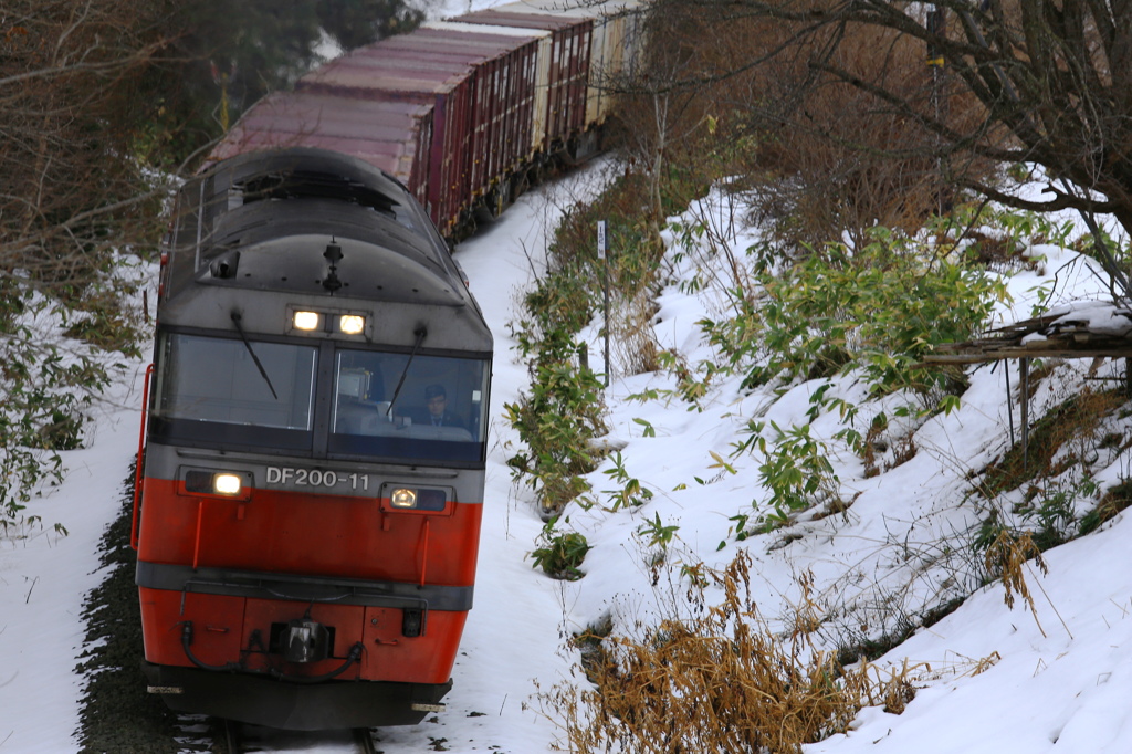 DF200-11