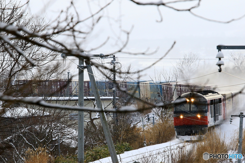 雪を蹴散らし奴がくる。
