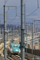 春霞の中