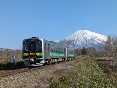 春の羊蹄山
