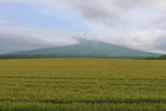 駒ヶ岳の麓で