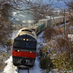 やっと来た赤熊