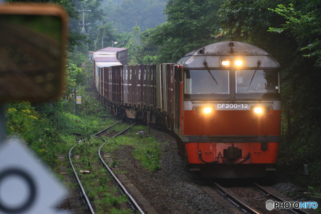 赤熊登場