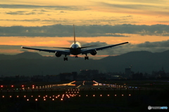 日没767