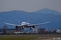 着陸態勢