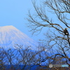 一富士二鷹・・・
