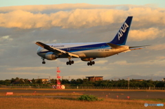 夕焼け767