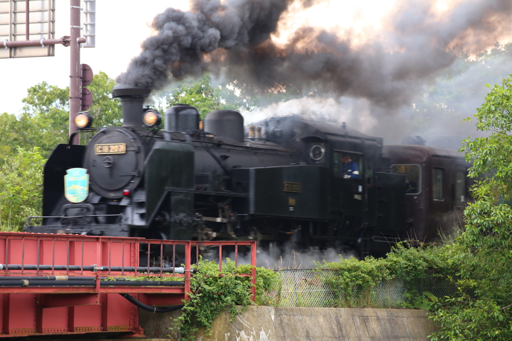 最後のチャンスなのにシャタースピードが遅すぎた、残念