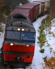 DF200
