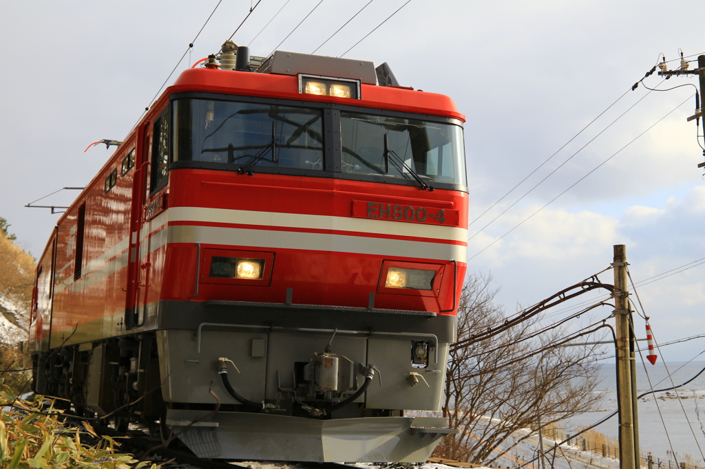 EH800