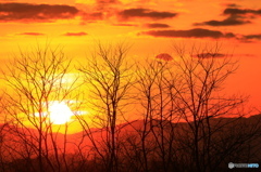 夕暮れ