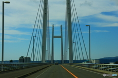 橋