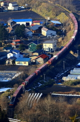 RED　BEAR ②