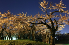 夜散歩