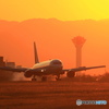 染まる767