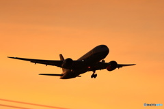 オレンジ787