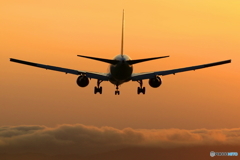 767