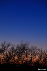 夕刻