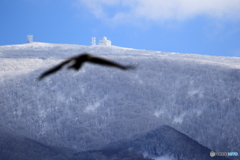 雪山