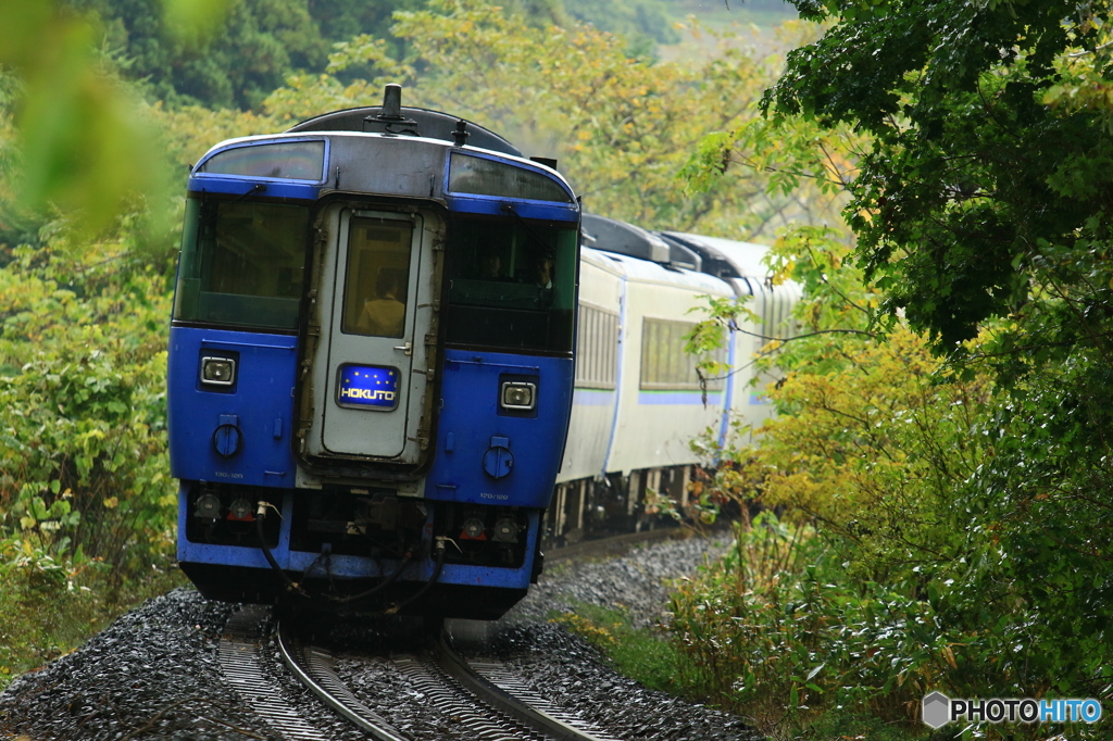 しっとりと森の中