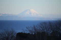 八雲から羊蹄山