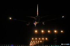 遅れて来たやつ。