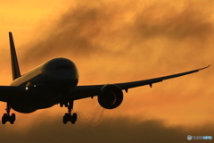 黄昏787