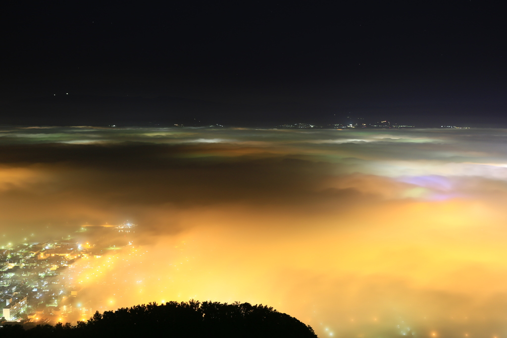 函館 霧夜景