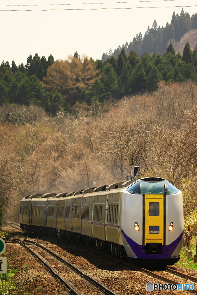 スーパー北斗11号（縦構図）