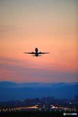 ７３７最終便