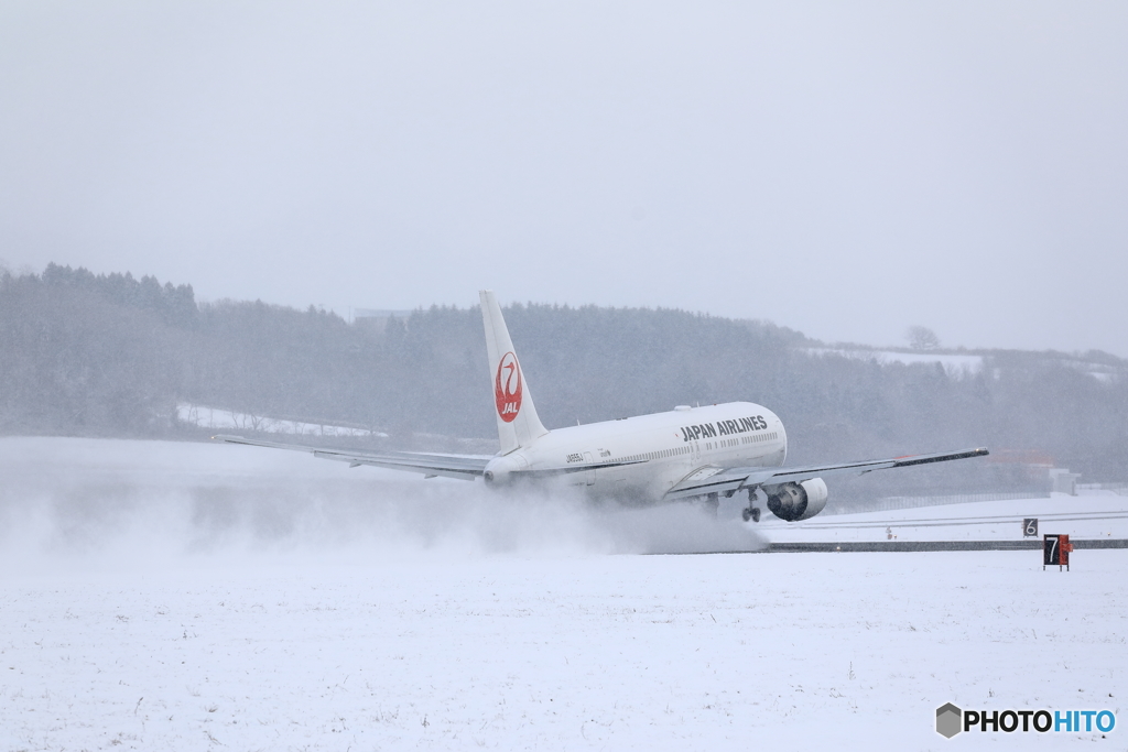 雪中鶴丸