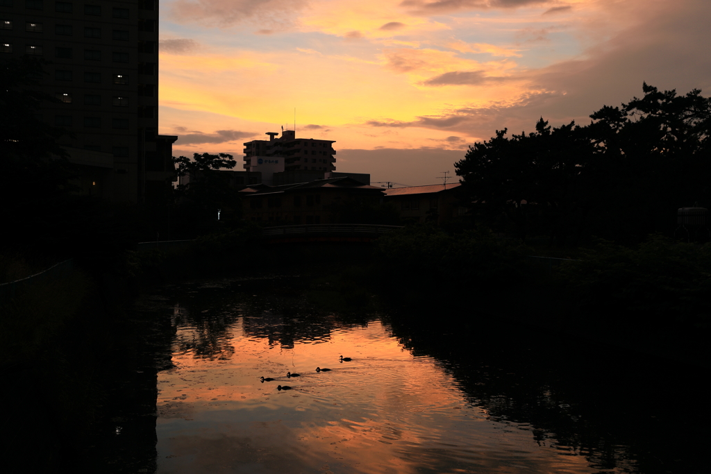 水辺の夕景