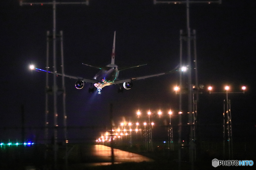 JAL767