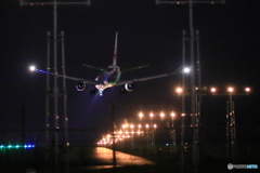 JAL767