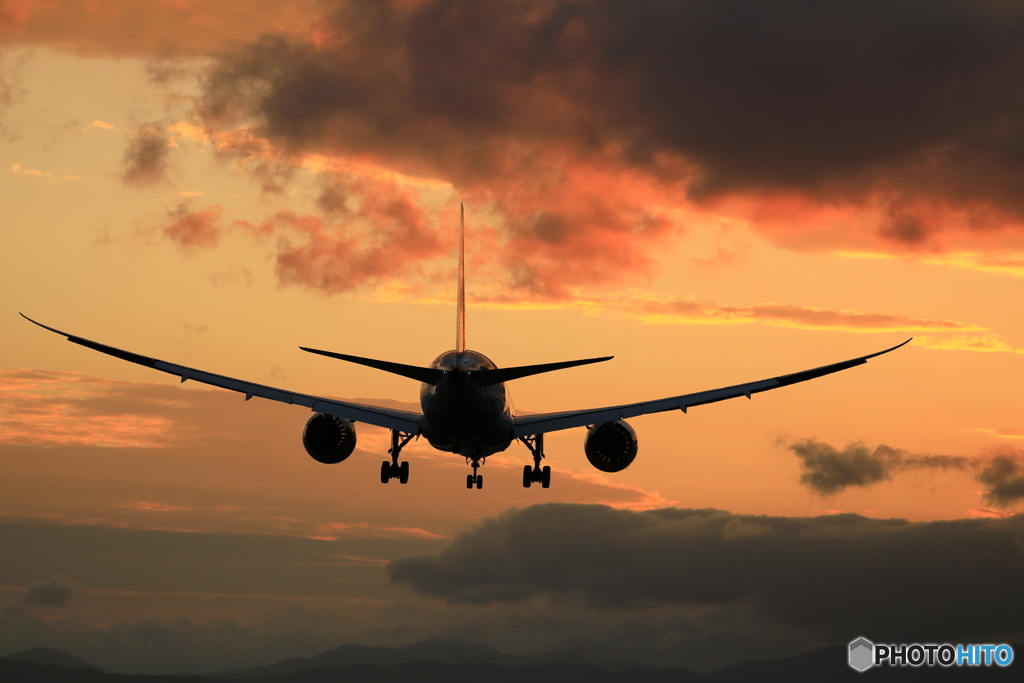 787最終便